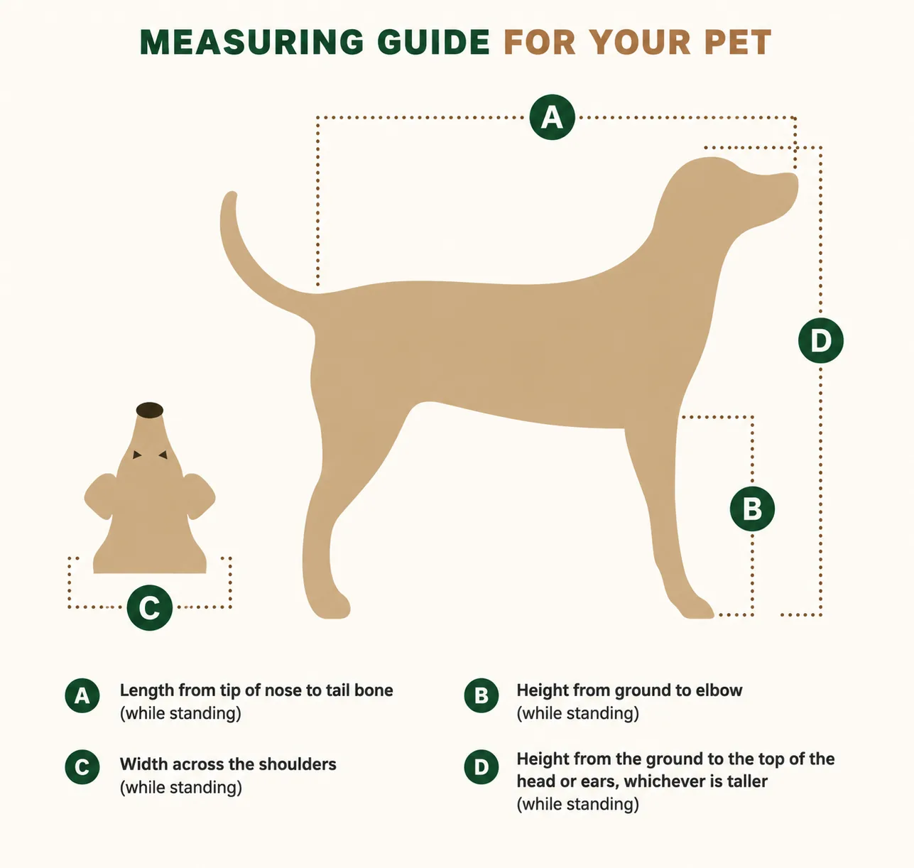 Diagram showing the four IATA measurements on a standing dog